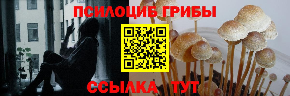 Междуреченск  Галлюциногенные грибы мицелий  Вход с VPN 